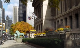 The Art Institute of Chicago